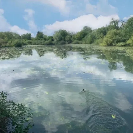 Ferienhaus Sudpfalz Prázdninový dům Neuburg am Rhein